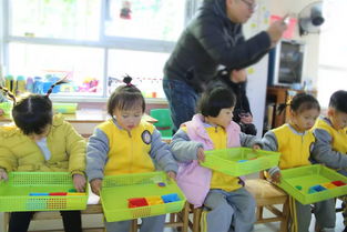 亲子共游，如何通过游玩活动促进孩子全面发展