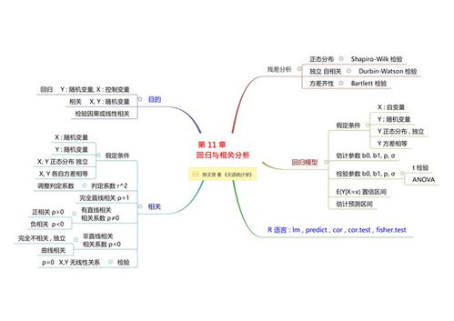 幼儿教育心理学，思维导图的全面解析与应用