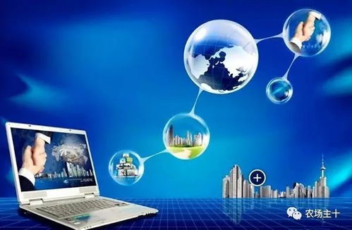 培养下一代，企业持续性发展的基石