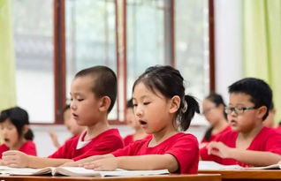 探索学前教育，社区中儿童早期教育的关键概念