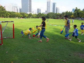 如何将游乐项目融入儿童教育，招商网的新机遇