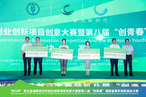 农村娱乐项目的成功之道，创新与传统的融合