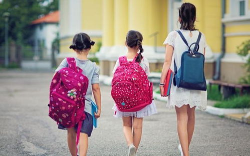 幼儿教育杂志官网，打造未来领袖的摇篮