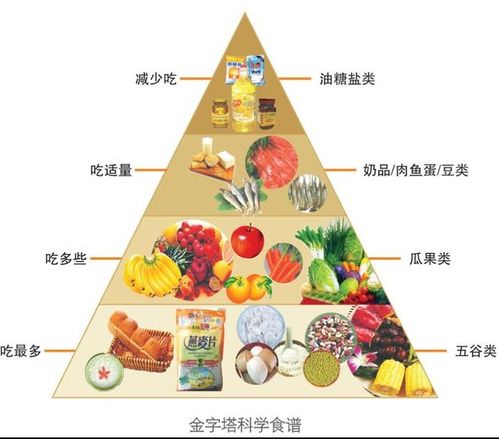 构建孩子健康成长的基石，每天食物营养搭配金字塔