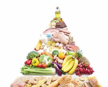 构建孩子健康成长的基石，每天食物营养搭配金字塔