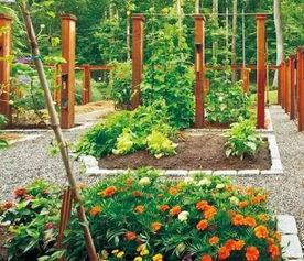 农家乐，亲子共乐的田园生活体验