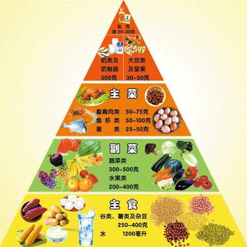 揭秘营养金字塔，为孩子打造健康饮食的科学指南
