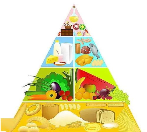 揭秘营养金字塔，为孩子打造健康饮食的科学指南