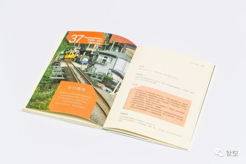 育儿宝典，精选教育类好书分享