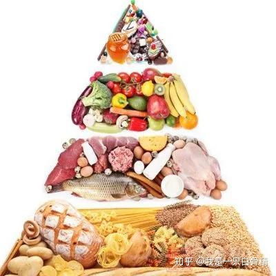 科技助力育儿，如何使用查食物营养素的App来提升孩子的饮食健康