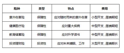幼儿教育学基础名词解释大全，构建孩子成长的坚实基石