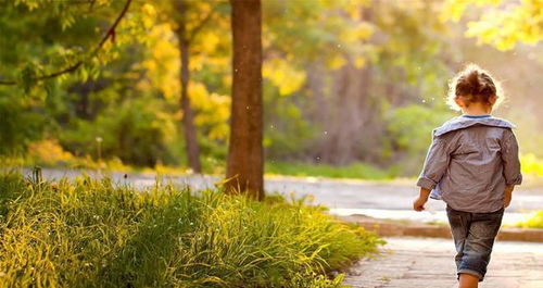 成长中的失去，孩子如何面对生命中的第一次告别