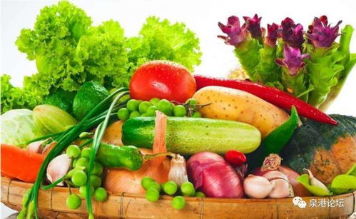 营养宝库，揭秘十大营养价值最高的食物