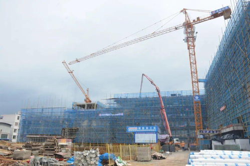 儿童玩耍项目，促进发展与创造力的关键