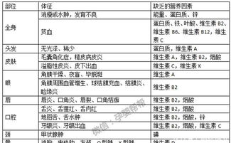宝宝营养全掌握，日常食物营养成分表格模板解析