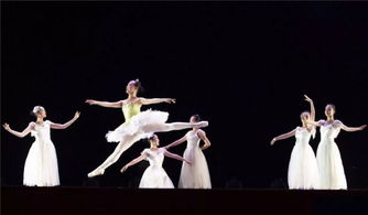 幼师专业舞蹈基本功，培养幼儿艺术素养的基石