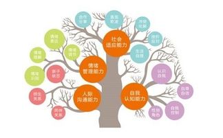 构建孩子健康成长的营养金字塔，每天的营养搭配指南