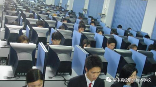 探索幼师专业毕业生的多元就业路径，从幼儿园到教育咨询