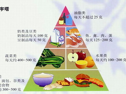 国民营养金字塔，构建健康饮食的基石