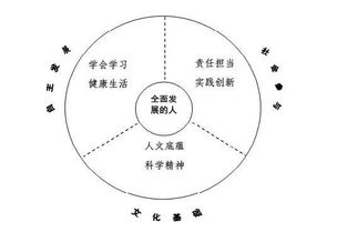 全面促进学生成长，一个综合发展实施计划方案