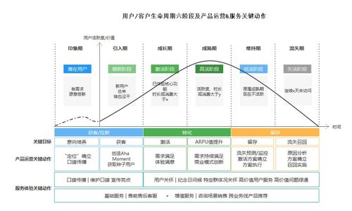 企业成长阶段划分，理解企业发展的生命周期