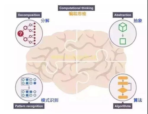 激发孩子创造力，新颖活动方案流程设计指南