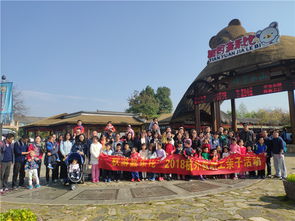 亲子游乐项目，跨越语言障碍的亲子互动