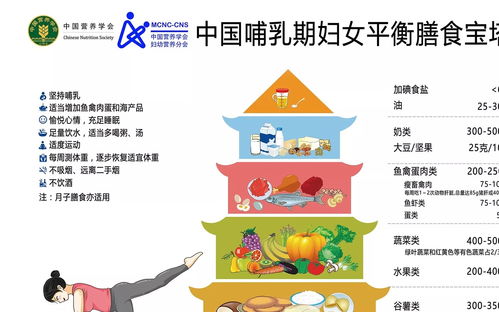 营养金字塔，为孩子绘制健康成长的蓝图