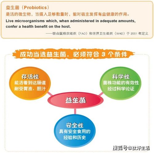 均衡饮食，一日三餐营养分配的比例与重要性
