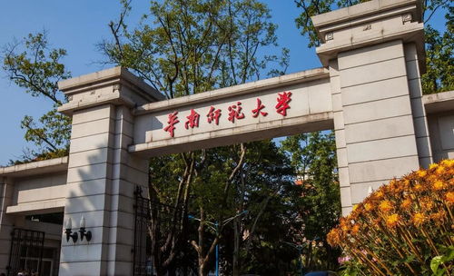 华南师范大学学前教育专业，培养未来育儿专家的摇篮