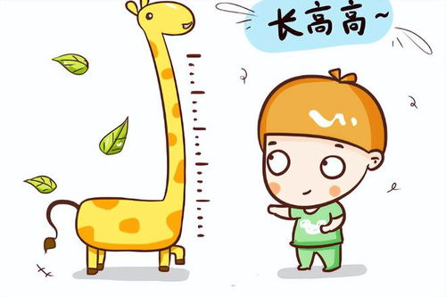 营养宝库，探索对孩子成长至关重要的高营养价值食物