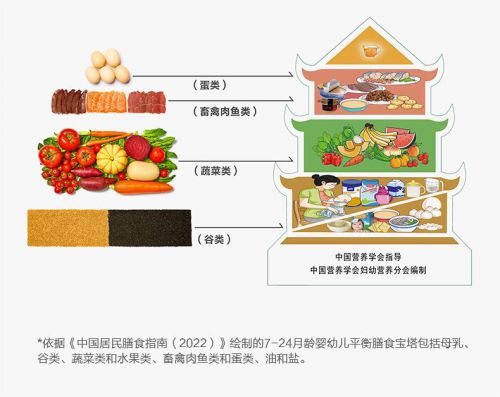 营养均衡，健康成长，食物营养成分手抄报模板指南