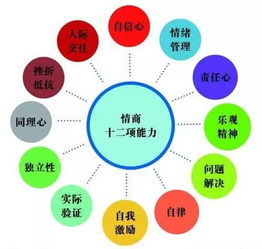 幼儿教育心理学第二版深度解析，理解儿童心理，塑造未来教育