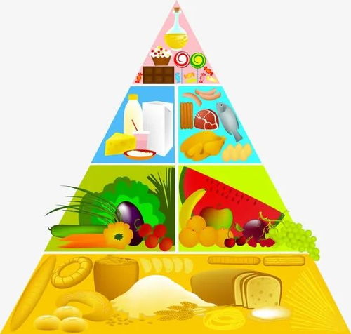构建孩子健康成长的营养食品金字塔