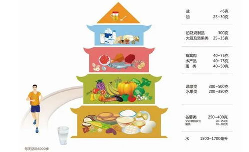 构建孩子健康成长的营养食品金字塔