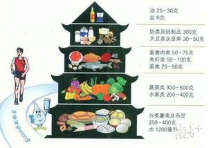 营养小百科，食物中的营养物质全解析