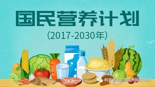营养金字塔，构建健康饮食的基石