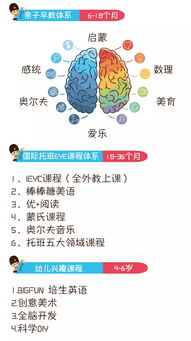 孩子的成长与发展，理解关键阶段与育儿策略