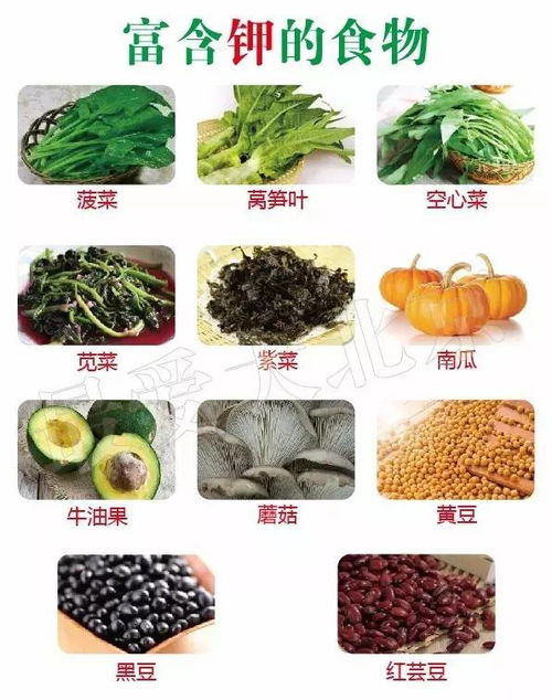 了解食物营养表，能量值的奥秘与儿童饮食健康