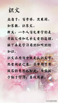 如何为孩子选择合适的乐队名字，创意与共鸣的结合