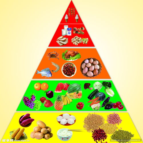 营养金字塔，卡通图片中的儿童饮食指南