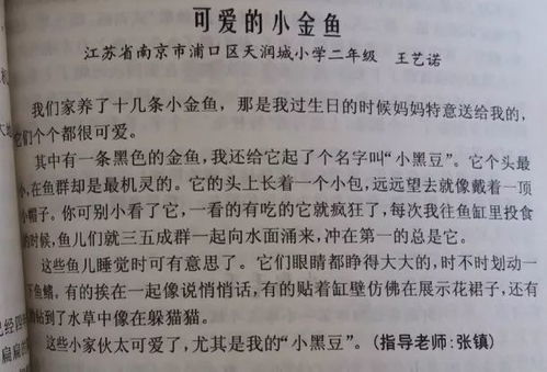 乐趣满分作文，激发孩子写作热情的秘诀