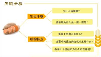 探索幼儿教育的多元路径，幼儿教育相关专业概览