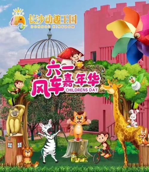 童年的梦幻乐园，一次难忘的游乐园之旅