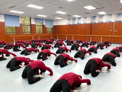 幼儿教育专业，培养未来教育者的摇篮