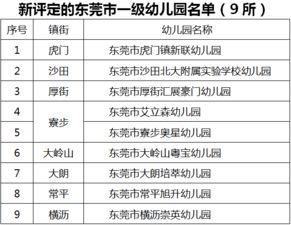 幼儿园学前教育法律法规记录表，确保儿童权益与教育质量的基石