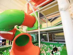 亲子游乐项目，打造家庭欢乐时光的秘诀