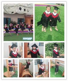 幼儿教育杂志，启迪心智，培育未来