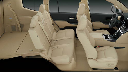 男孩青春期成长指南，理解变化，支持成长