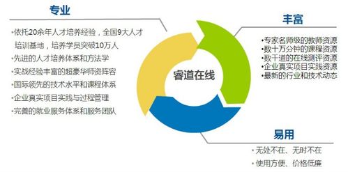 幼师专业，中专课程全面解析与职业发展路径